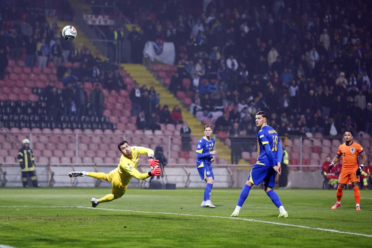 并不花哨 并不花哨